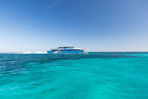 Rottnest Island Settlement Explorer Segway Package From Perth - Accommodation NSW 4