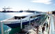 Grand Perth & Fremantle Tour With Tram & Cruise - thumb 2