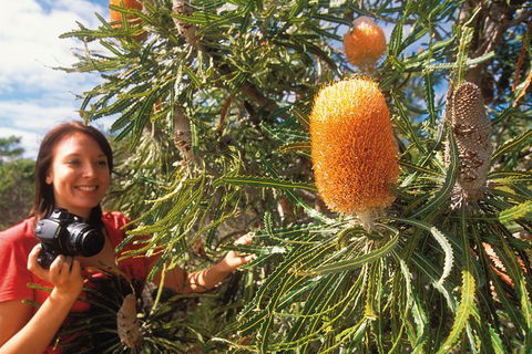 Best Of Perth Wildflower Season Day Trip - Accommodation NSW 0