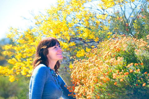 Best Of Perth Wildflower Season Day Trip - Accommodation NSW 3