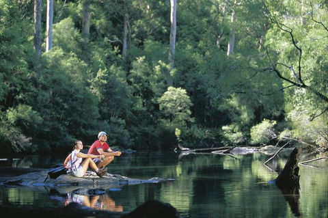 4 Day Tour: Albany, Margaret River, Valley Of The Giants TreeTop Walk From Perth - Accommodation NSW 7