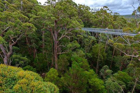 4 Day Tour: Albany, Margaret River, Valley Of The Giants TreeTop Walk From Perth - Accommodation NSW 3