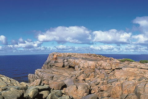 4 Day Tour: Albany, Margaret River, Valley Of The Giants TreeTop Walk From Perth - Accommodation NSW 5
