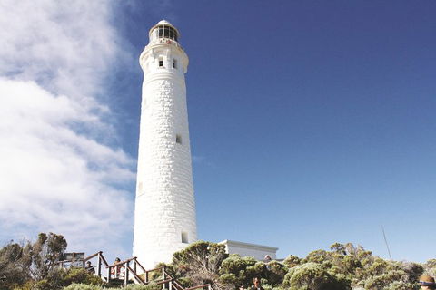 4 Day Tour: Albany, Margaret River, Valley Of The Giants TreeTop Walk From Perth - Accommodation NSW 2