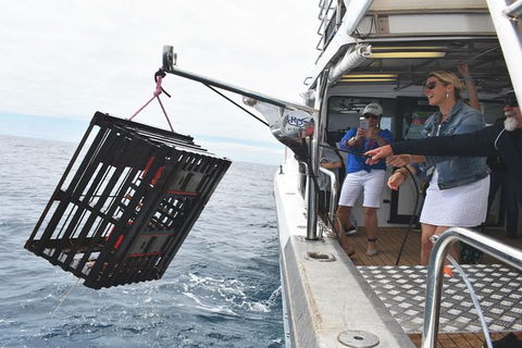 Rottnest Island Wild Seafood Package With Round Trip Ferry From Perth - Accommodation NSW 0