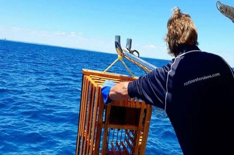 Rottnest Island Wild Seafood Package With Round Trip Ferry From Perth - Accommodation NSW 8