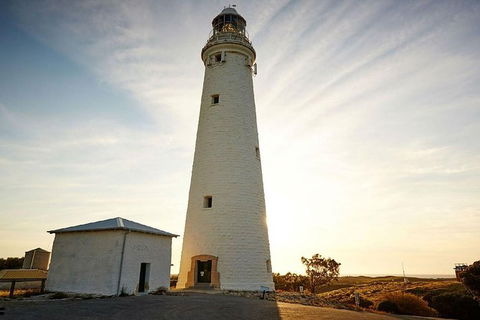 Rottnest Island Wild Seafood Package With Round Trip Ferry From Perth - Accommodation NSW 4