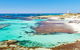 Rottnest Island Wild Seafood Package With Round Trip Ferry From Perth - thumb 7