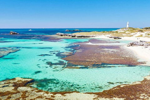 Rottnest Island Wild Seafood Package With Round Trip Ferry From Perth - Accommodation NSW 7