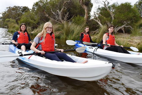 Perth Kayak Tour - Canning River Wetlands - Accommodation NSW 3