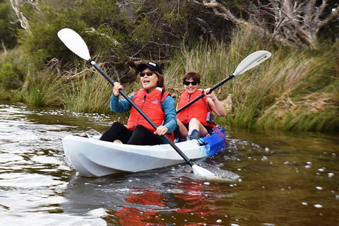 Perth Kayak Tour - Canning River Wetlands - Accommodation NSW 2