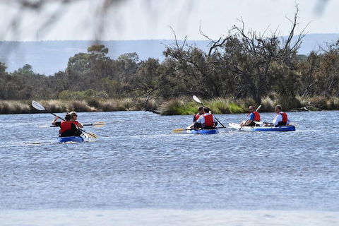 Perth Kayak Tour - Canning River Wetlands - Accommodation NSW 4