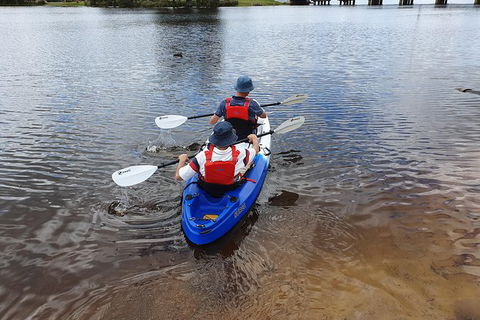 Perth Kayak Tour - Canning River Wetlands - Accommodation NSW 1