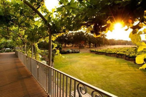 Busselton And Scenic Drive Full Day Tour - Accommodation NSW 9