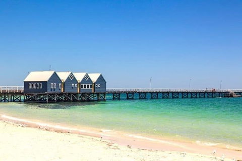 Busselton And Scenic Drive Full Day Tour - Accommodation NSW 0