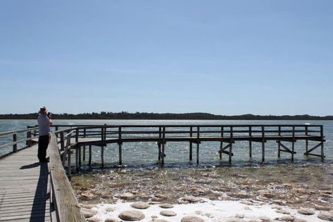 Busselton And Scenic Drive Full Day Tour - Accommodation NSW 5