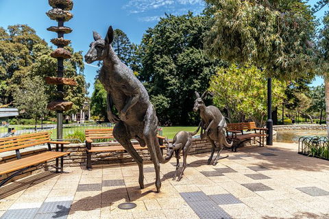 Withlocals Highlights & Hidden Gems: Best Of Perth Private Tour - Accommodation NSW 3