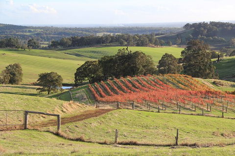 Ferguson Valley Full Day Tour - Accommodation NSW 0
