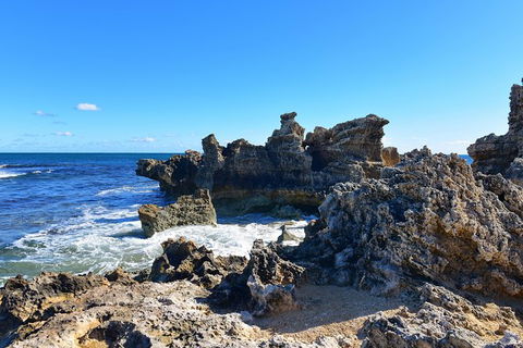 Perth\'s Coastal Playground And Wildlife Tour - Accommodation NSW 8