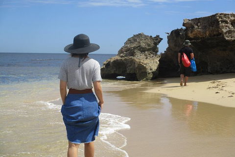 Perth\'s Coastal Playground And Wildlife Tour - Accommodation NSW 2