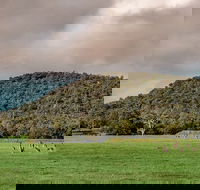 Baldwins Bluff Guided Hike - Accommodation NSW