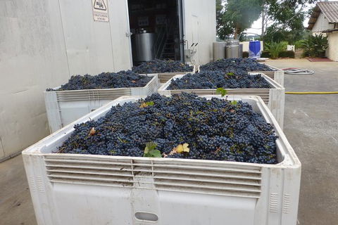A Taste Of Margaret River Luxury Wine Tour - Accommodation NSW 3