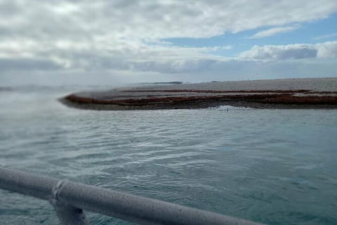 Abrolhos Islands Fishing Charter - Accommodation NSW 6
