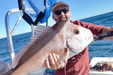 Abrolhos Islands Fishing Charter - Accommodation NSW 9