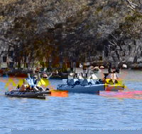 Private Guided River Kayak Tour - Accommodation NSW
