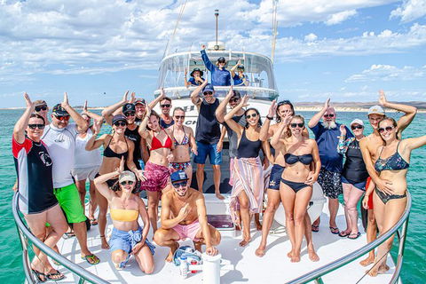 Full-Day Whale Sharks Swimming Experience On Ningaloo Reef - Accommodation NSW 1