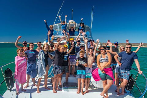 Full-Day Whale Sharks Swimming Experience On Ningaloo Reef - Accommodation NSW 15