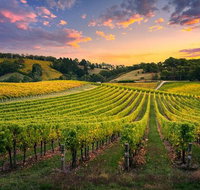 Swan Valley Sunset Wine Tour - Premium Small Group Tour - Accommodation NSW