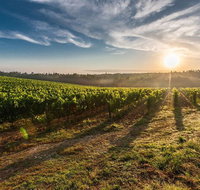 Perth to Margaret River Wine Tour - 2 Day Premium Boutique Wine Tour Experience - Accommodation NSW
