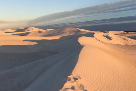 Pinnacles Desert Private Tour - Accommodation NSW 2