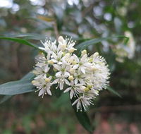 Booderee National Park - Accommodation NSW