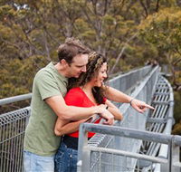Valley of the Giants Tree Top Walk - Accommodation NSW