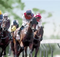 Colac Turf Club - Accommodation NSW