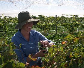 Kingsdale Wines - Accommodation NSW 0