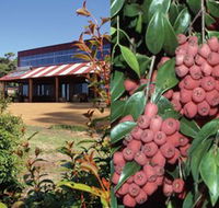 Bushfood Factory and Cafe - Accommodation NSW