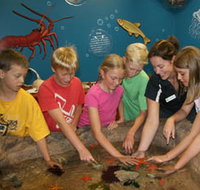 Naturaliste Marine Discovery Centre - Accommodation NSW
