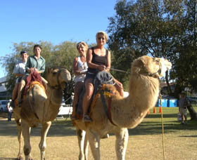 Calamunnda Camel Farm - Accommodation NSW 0