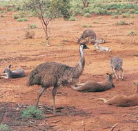 Hammond Park - Accommodation NSW