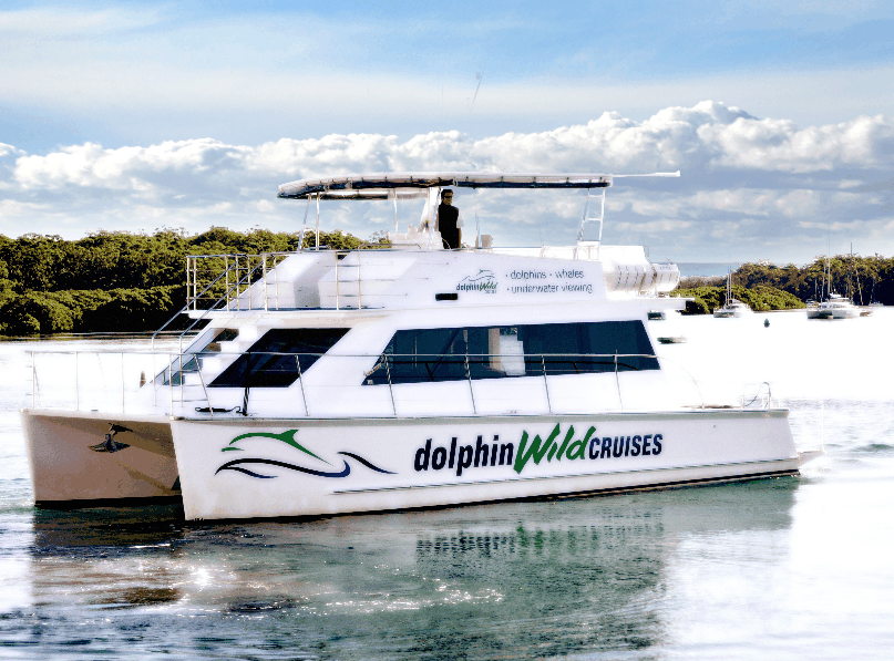 Dolphin Wild Cruises - Accommodation NSW 2