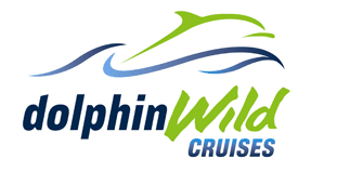 Dolphin Wild Cruises - Accommodation NSW 4
