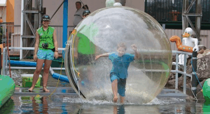 Aussie Waterballs - Accommodation NSW 4