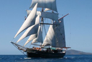 Australian Tallship Cruises - Accommodation NSW 0