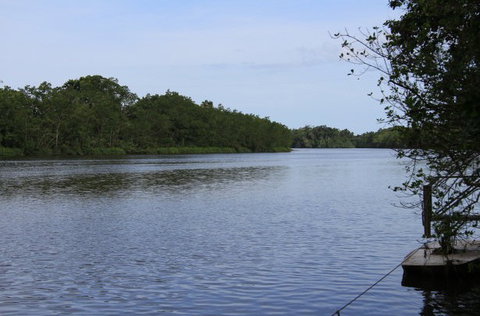 Daintree River Cruise Centre - Accommodation NSW 2
