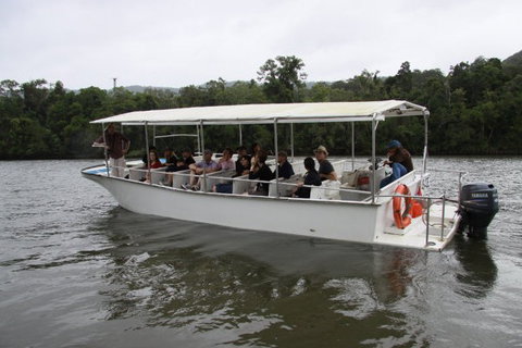 Daintree River Cruise Centre - Accommodation NSW 3
