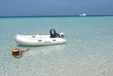 Adrenalin Snorkel And Dive - Accommodation NSW 4
