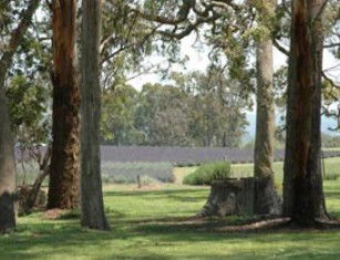 Amosfield QLD Accommodation NSW
